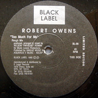 ArtistName:[ROBERT OWENS] TOO MUCH FOR ME (ROUGH MIX)