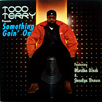 ArtistName:[TODD TERRY] SOMETHING GOIN' ON