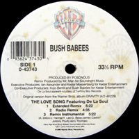 BUSH BABEES | THE LOVE SONG REMIX