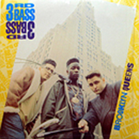 3RD BASS | BROOKLYN QUEENS