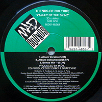 TRENDS OF CULTURE | VALLEY OF THE SKINZ