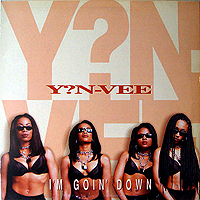 Y?N-VEE | I'M GOIN' DOWN / TRICKS-N-TRAININ'